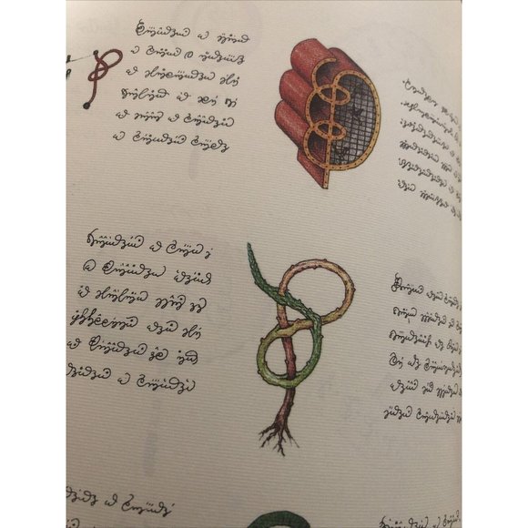 Luigi Serafini Codex Seraphinianus Print 181A - Picture 9 of 12